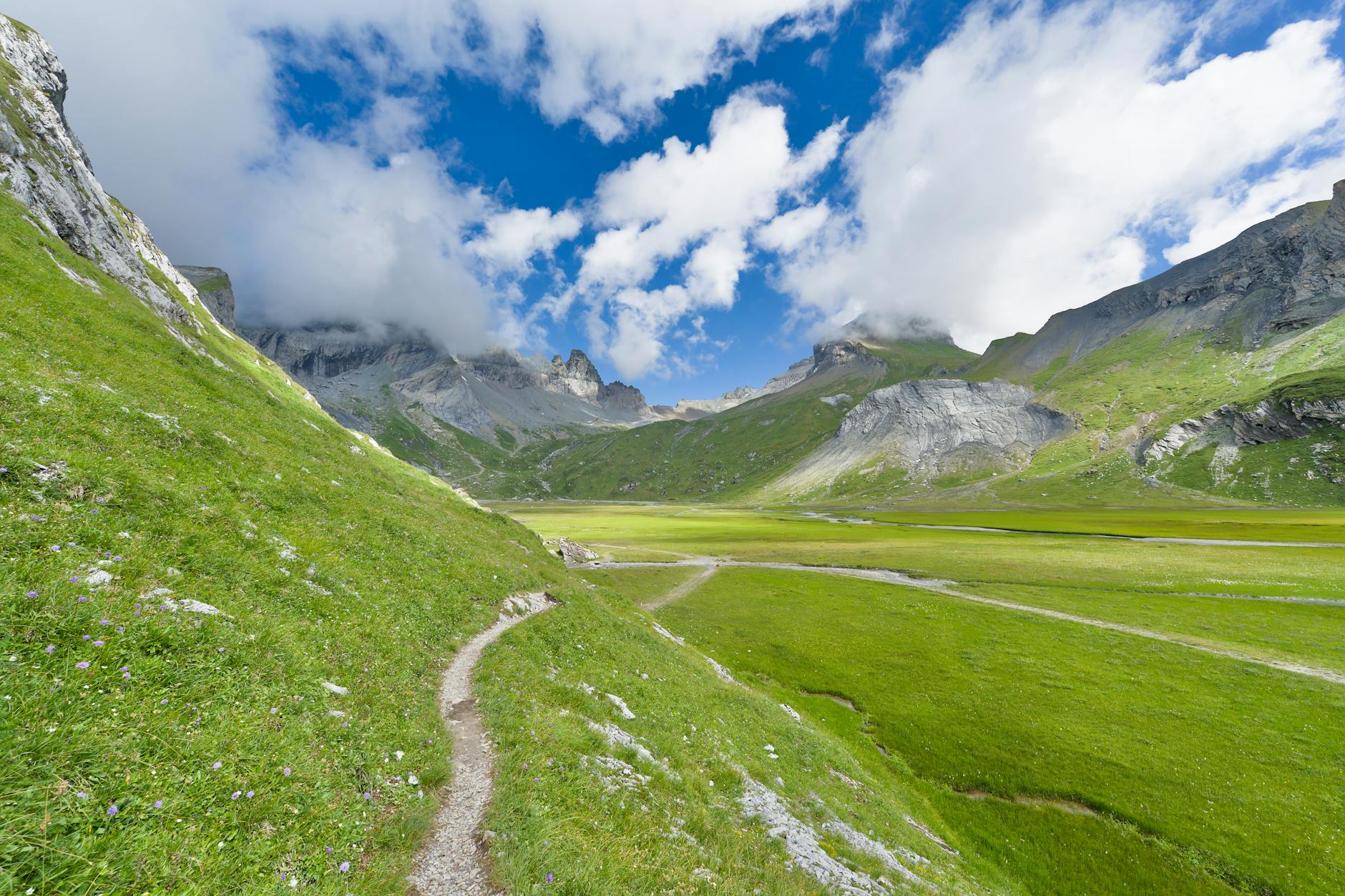 Zielona dolina i ośnieżone szczyty Alp Szwajcarskich latem