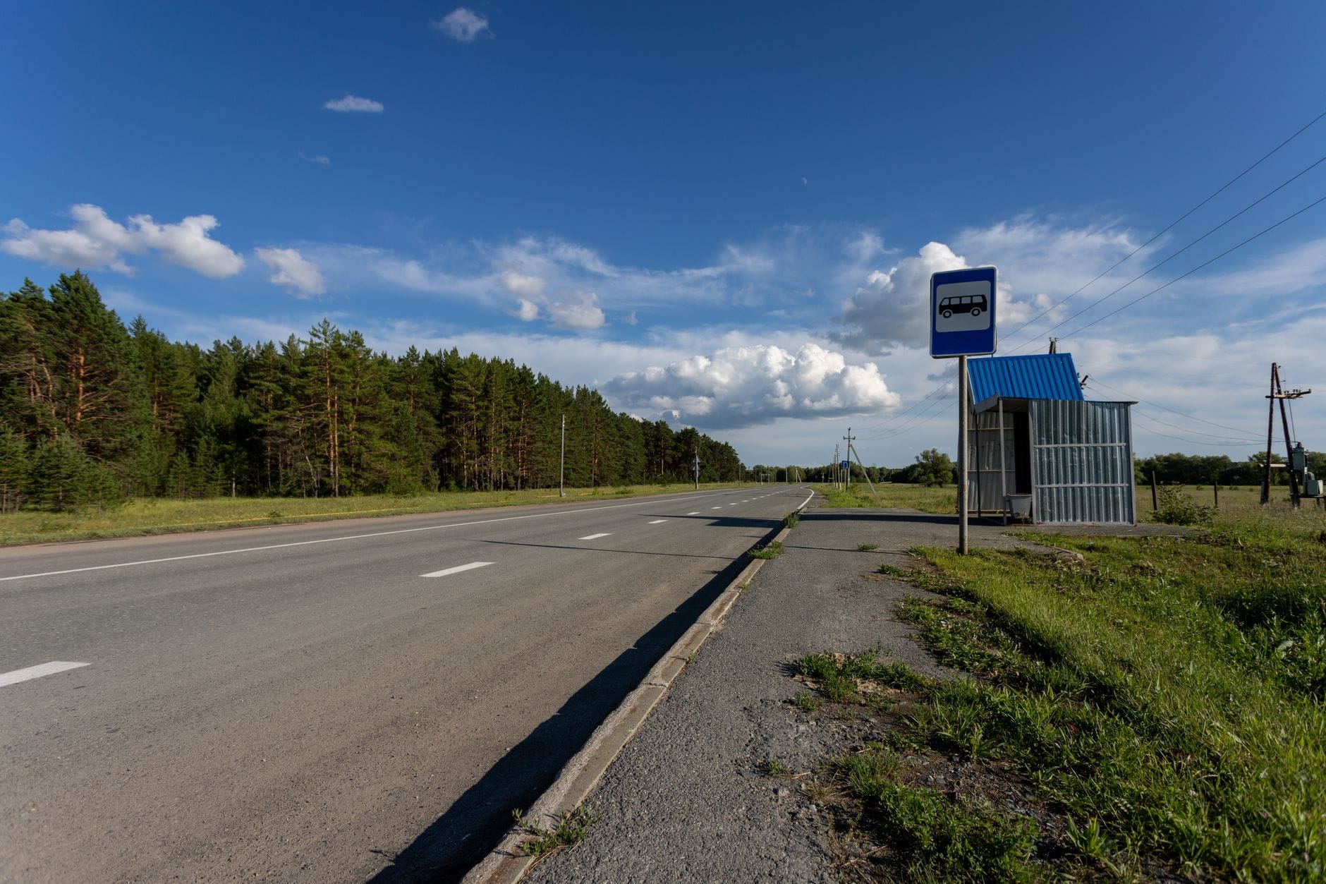 Pusta wiejska droga z małym przystankiem autobusowym wśród zieleni