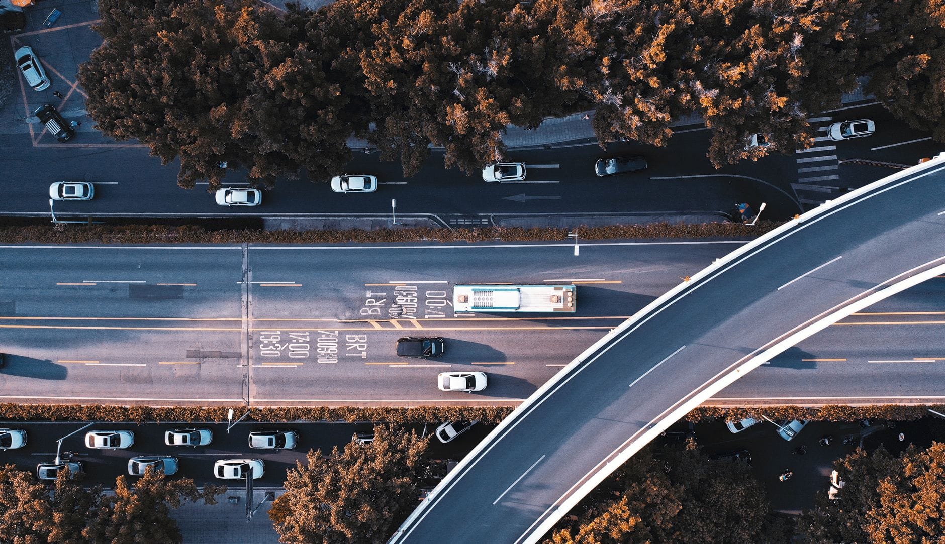 Ruchliwa miejska autostrada z busem i autami otoczona drzewami